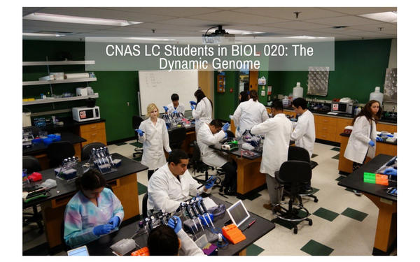 CNAS LC in BIOl 020 Thumbnail