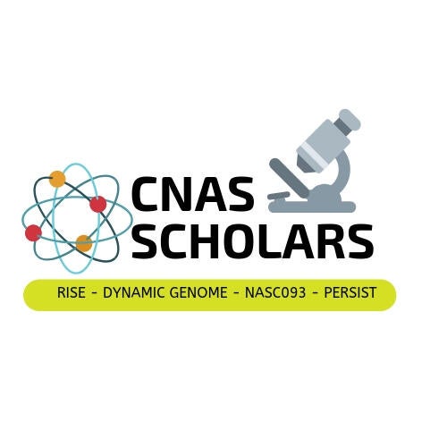 CNAS Scholars Logo Thumbnail